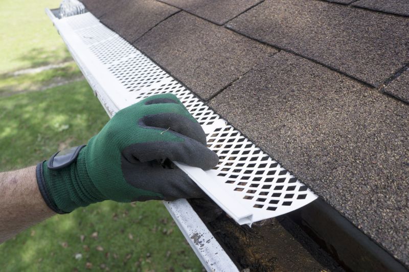 Clean Gutter with Cover